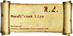Manácsek Liza névjegykártya